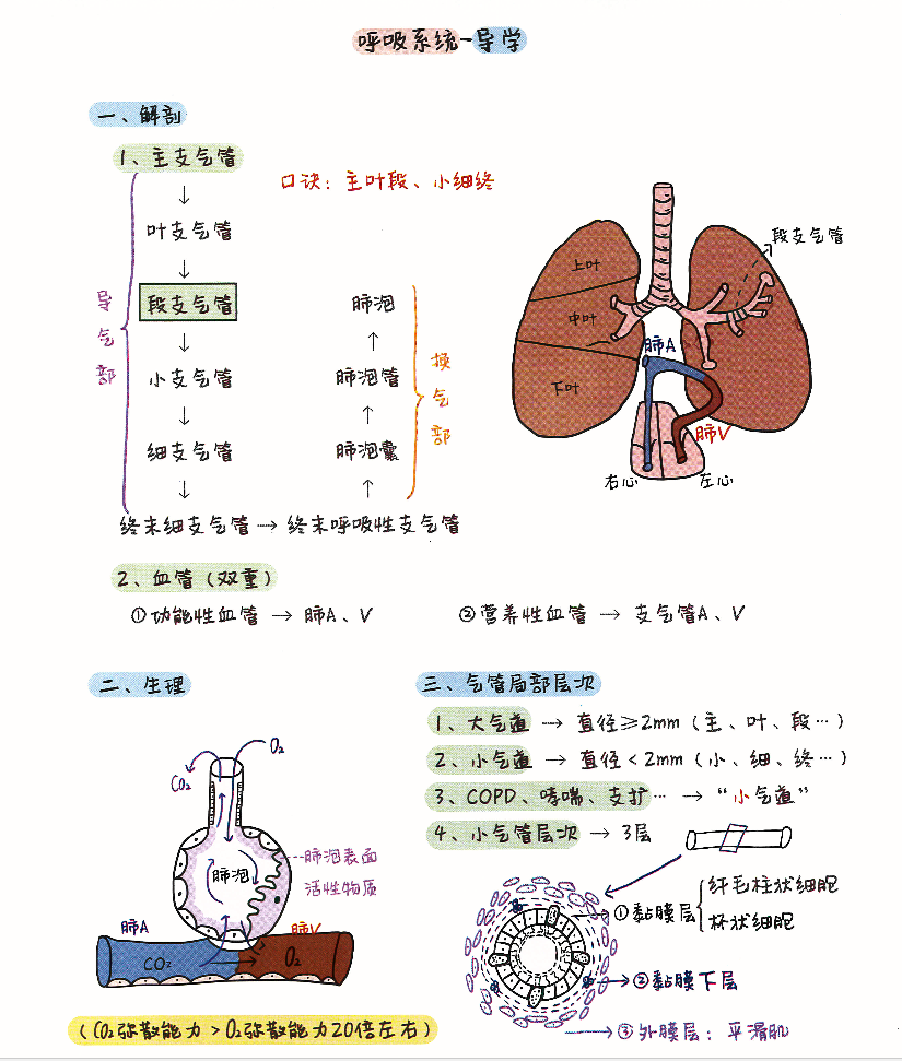 联想截图_20250102225448.png